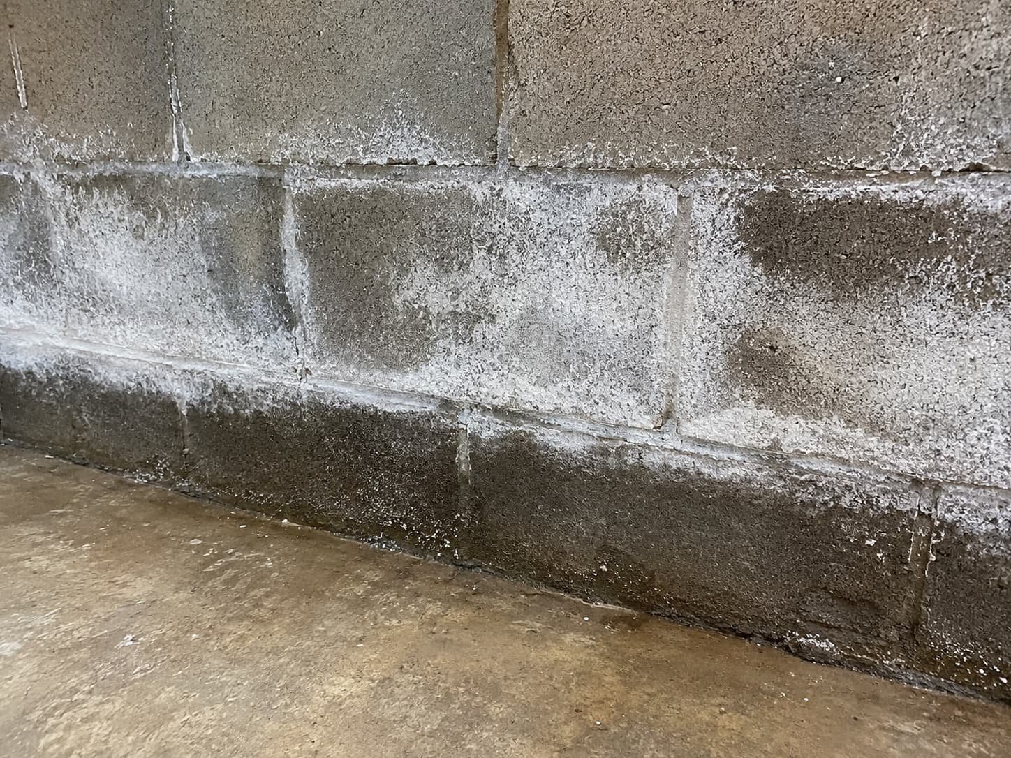 signs of a wet basement